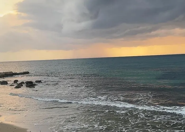 Caesar & - With 1 Bedroom